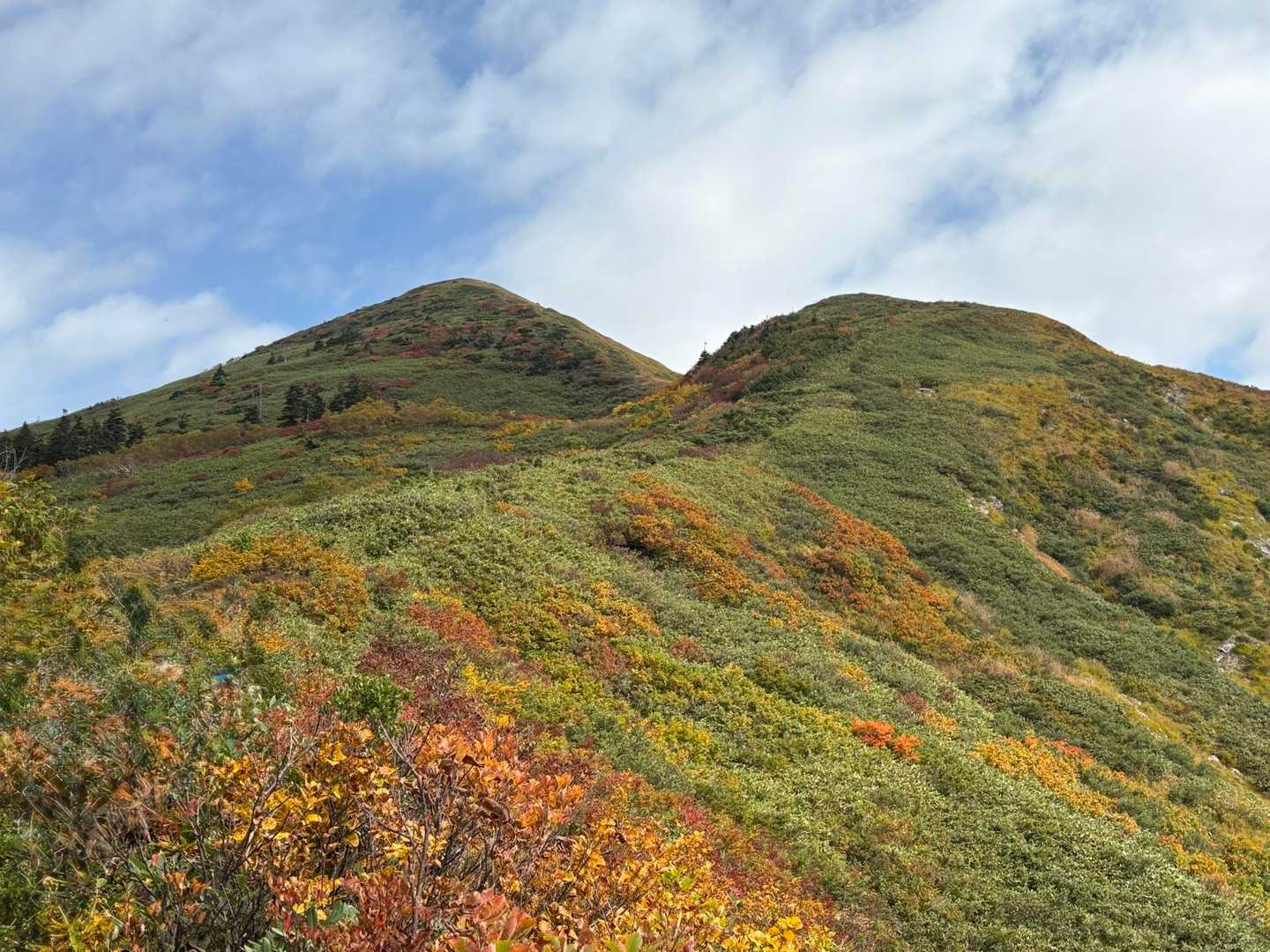 巻機山登山口-割引岳-巻機山-前巻機 周回コースの写真