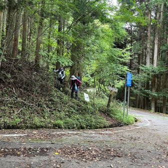 林道を渡って、⬅️月ヶ平へ