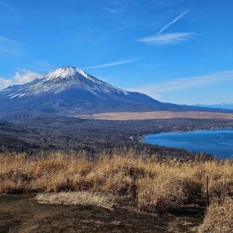 山頂からの富士山