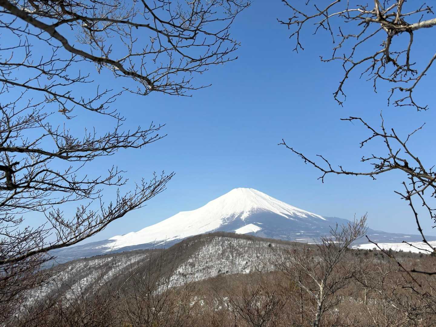 やっと富士山が見えてきた
