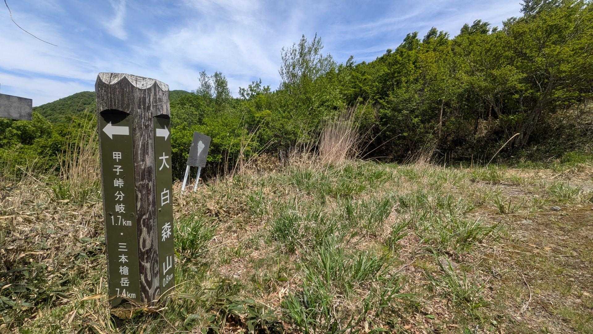 大白森山への分岐点着