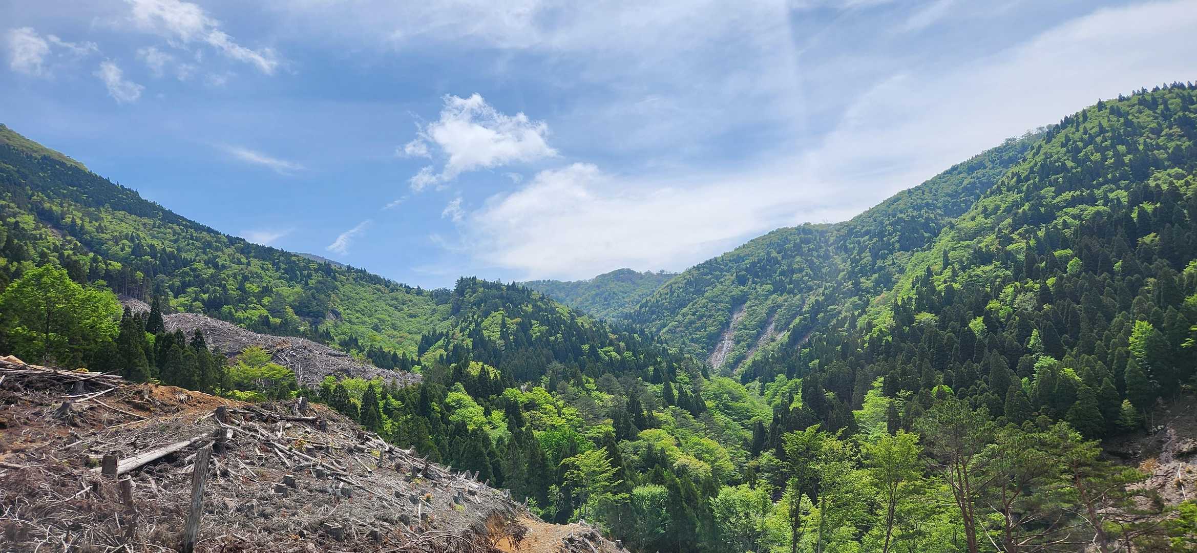 振り返り、大崩山