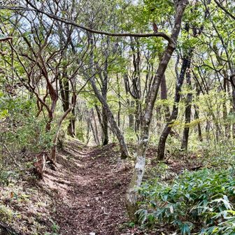 峠から山頂への道