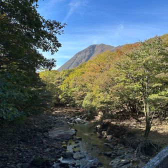 良い天気☀️