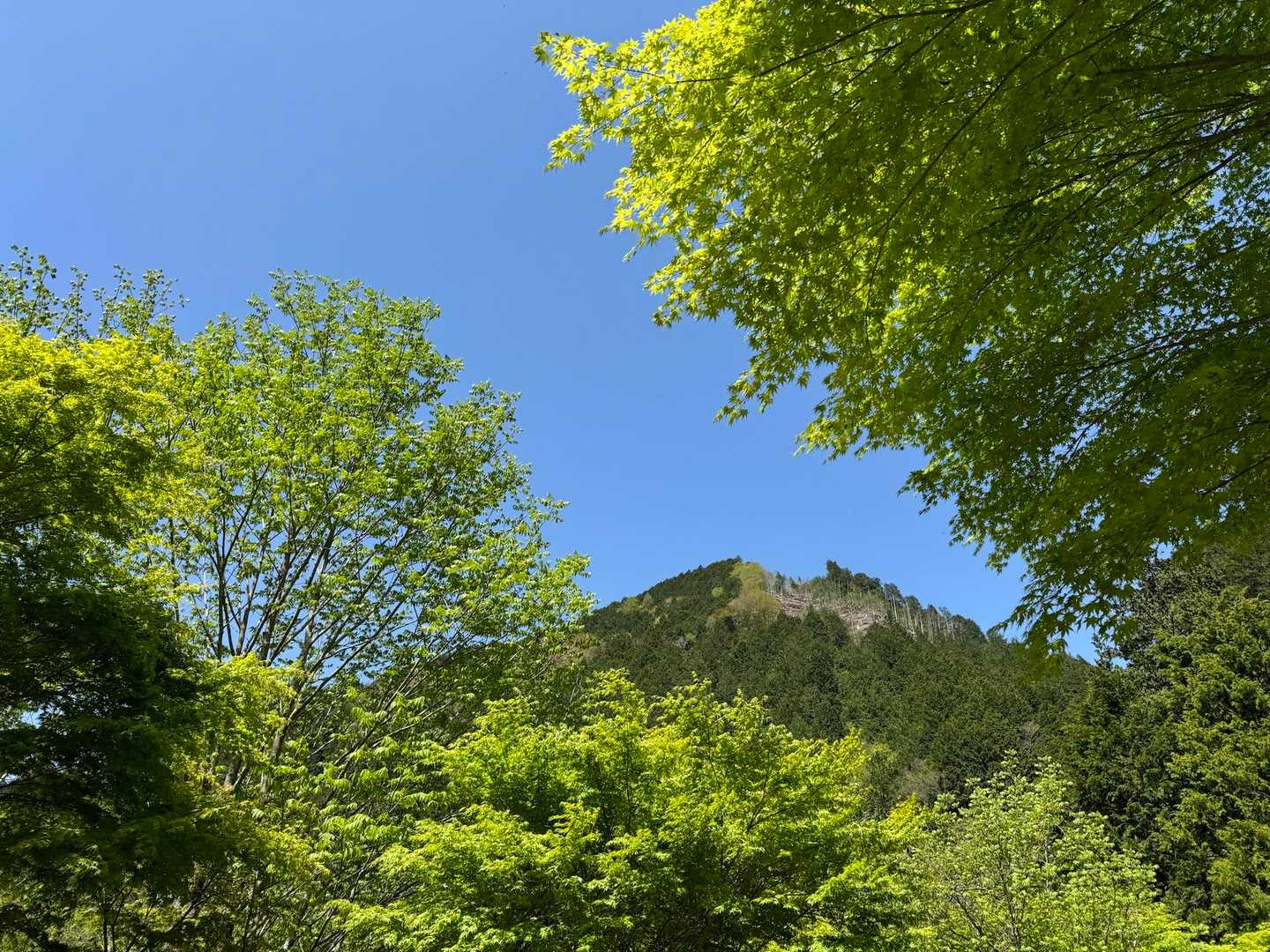 気持ちイイ新緑の季節🌿✨