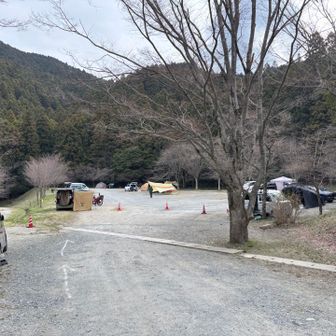若杉楽園キャンプ場！