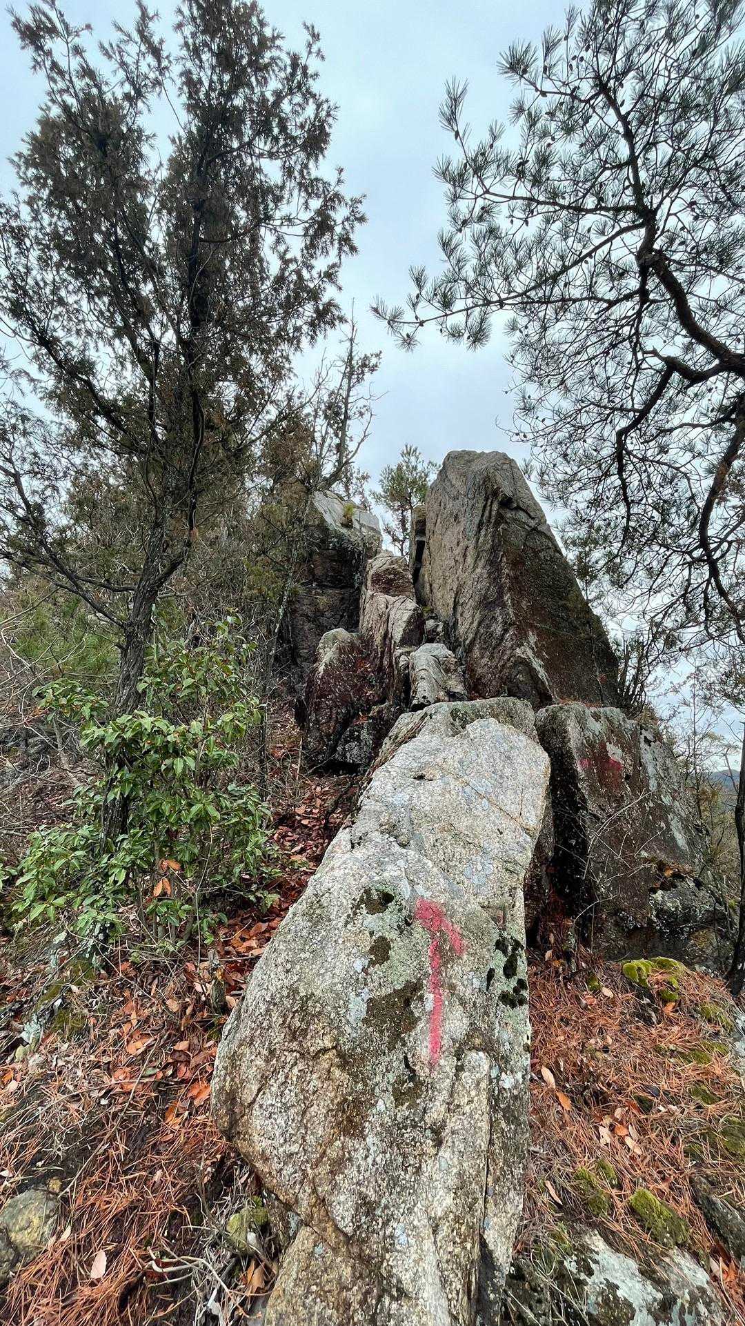 あえて 岩を登りましょっ😝