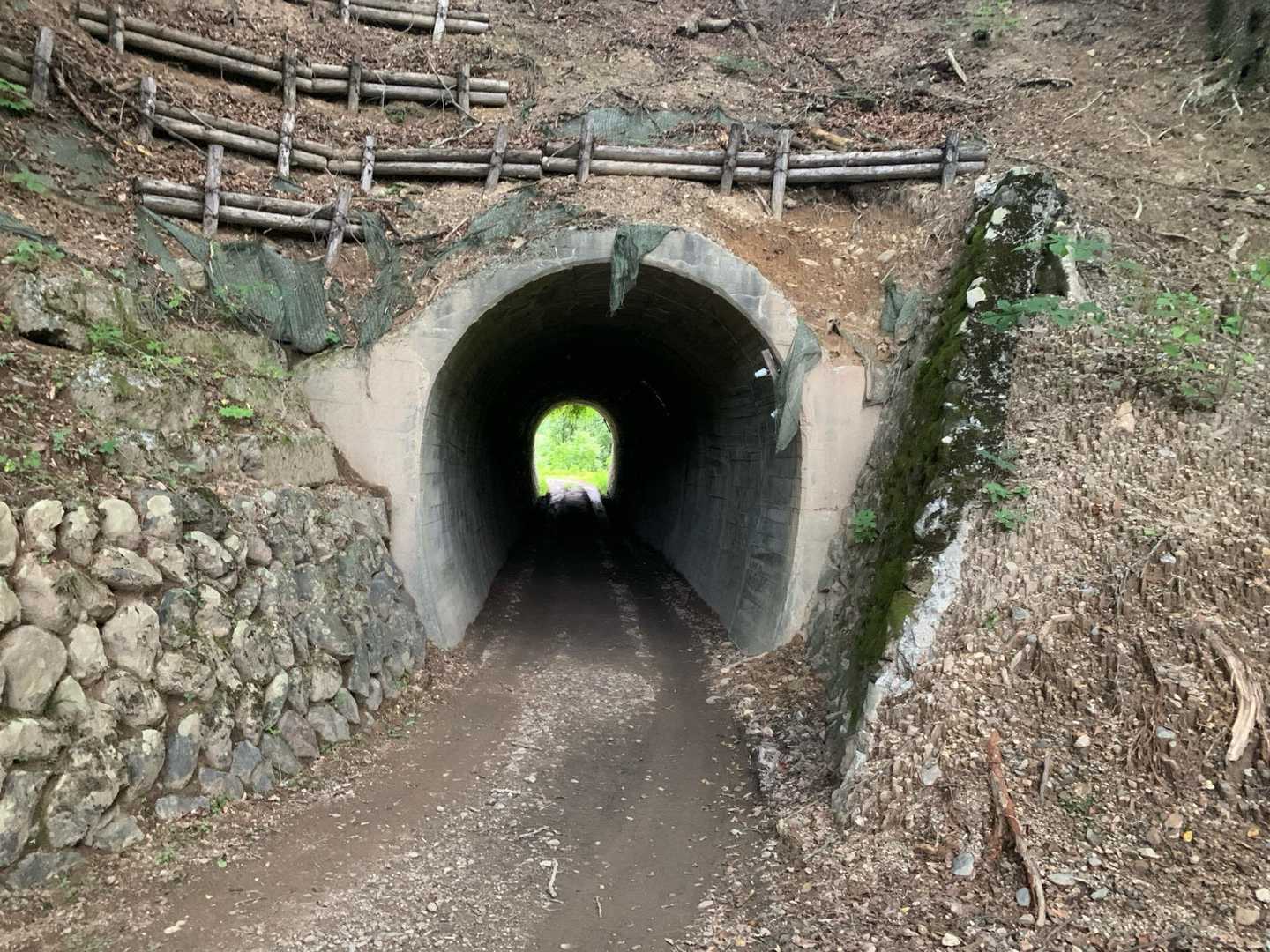 再整備はされていますが、森林鉄道時代の幅の隧道
ここを機関車は通過してたんですねぇ