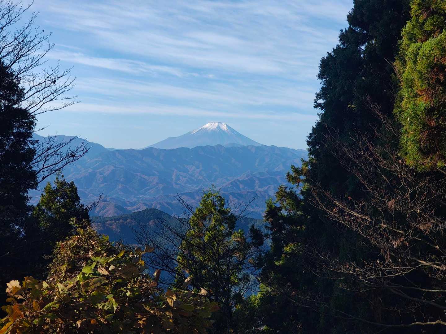 山頂から