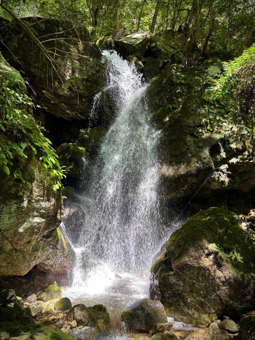 この沢、気に入った
