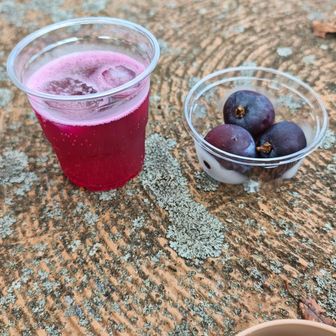 こなっちゃんからいただいたぶどう🍇
自家製しそジュース🥤
山頂でひと息〜😋✨

来た道を戻って 筆影山へ