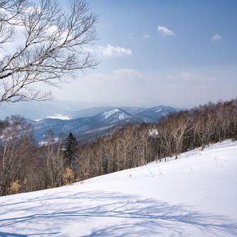 中央のピークが0の山🏔️
見えてはいるものの意外と遠くて、ピークの間隔もどんどん長くなってきています🫠