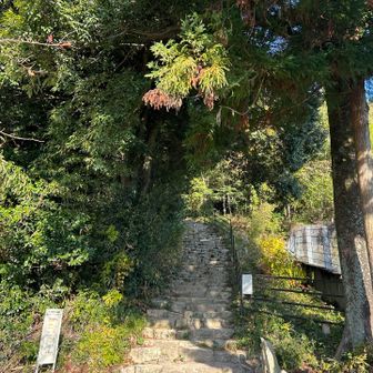 どんな道なのかな♪