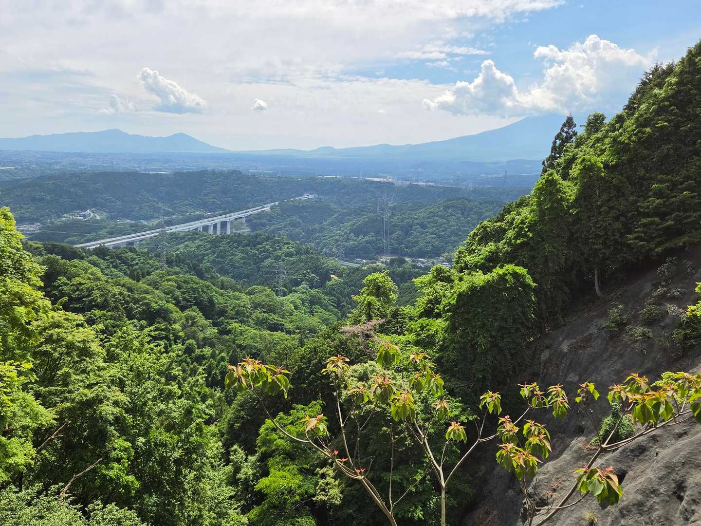 開けた所から、愛鷹山と富士山の山頂にモクモクの雲。
