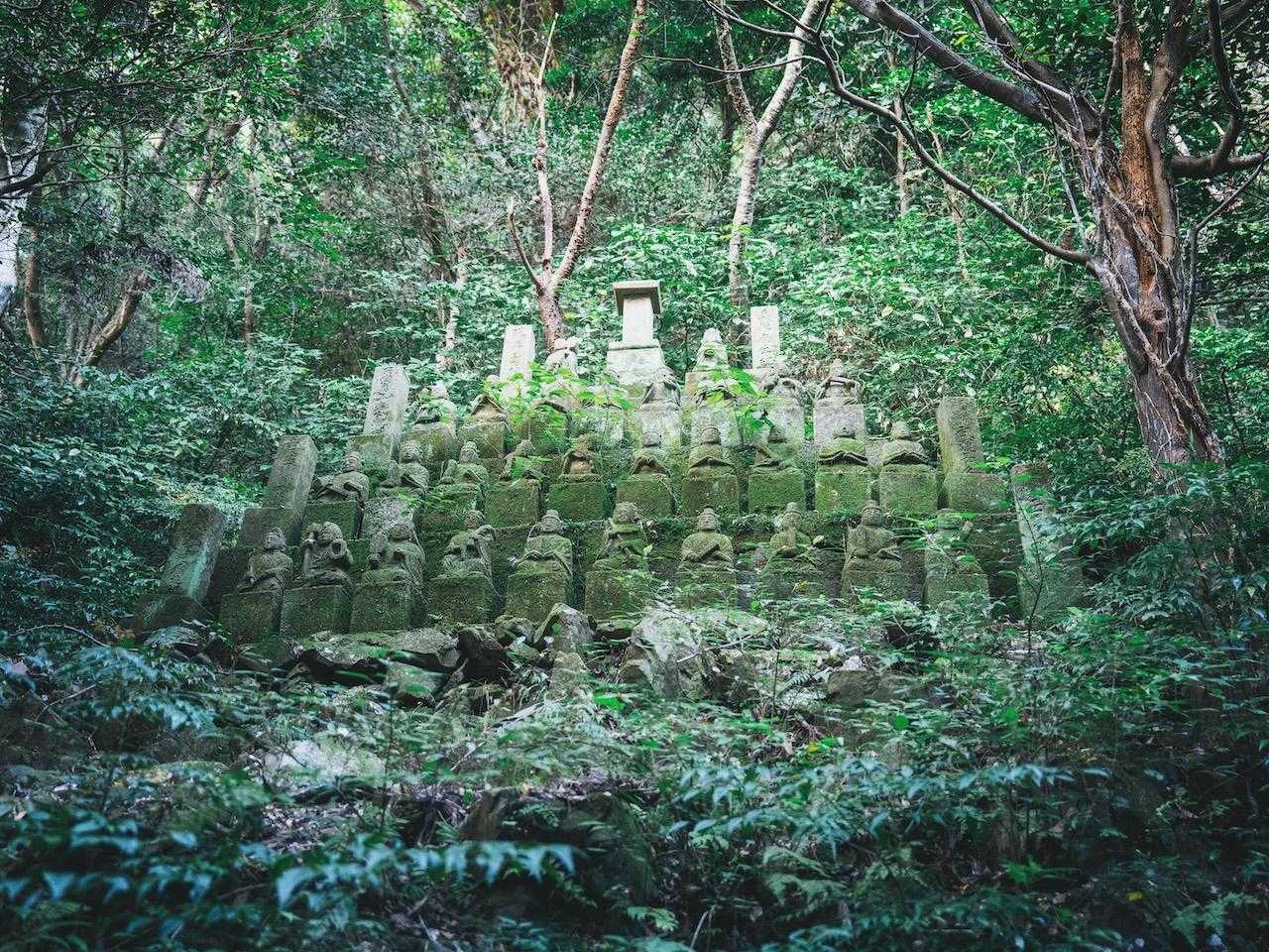 六ヶ岳 6峰＋3座周回コース | 山頂は360度の大パノラマ！9つのピークを縦走の写真