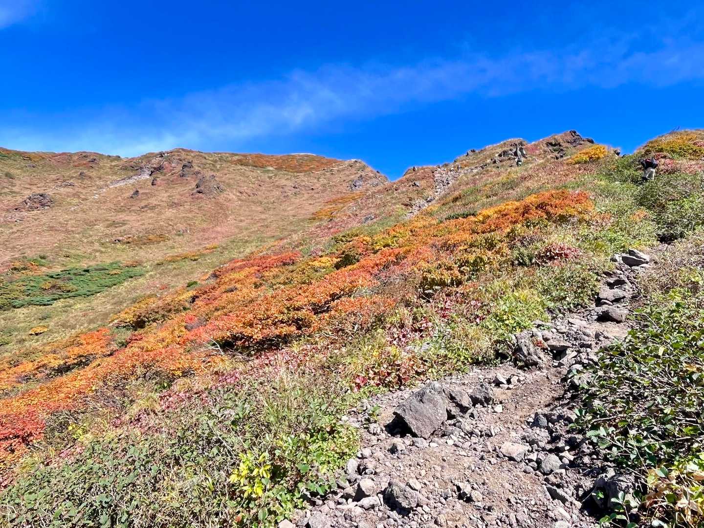 振り返って男岳を見上げる⛰️