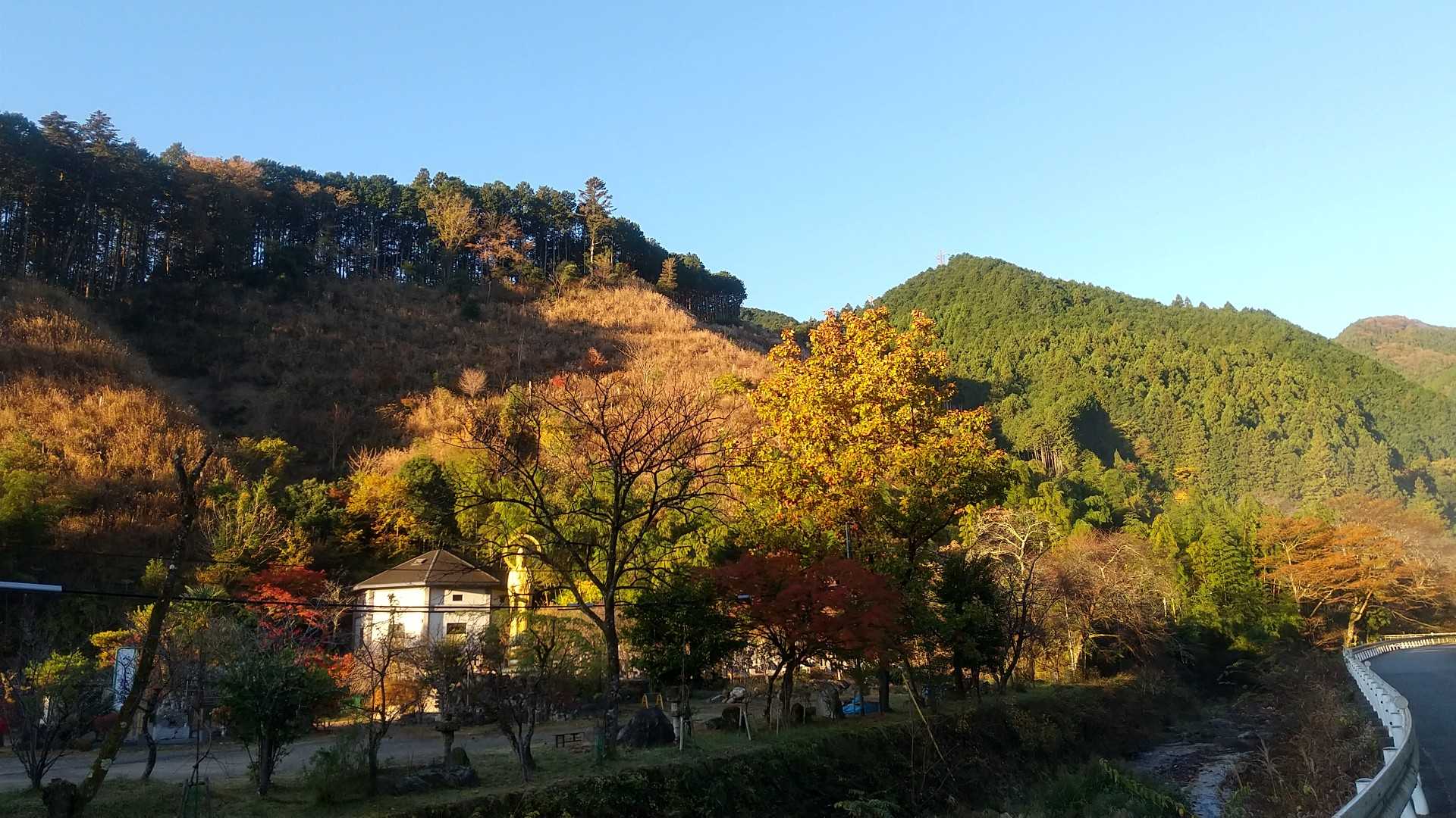 さて、出発。朝日が紅葉の木にあたってきれいですね。