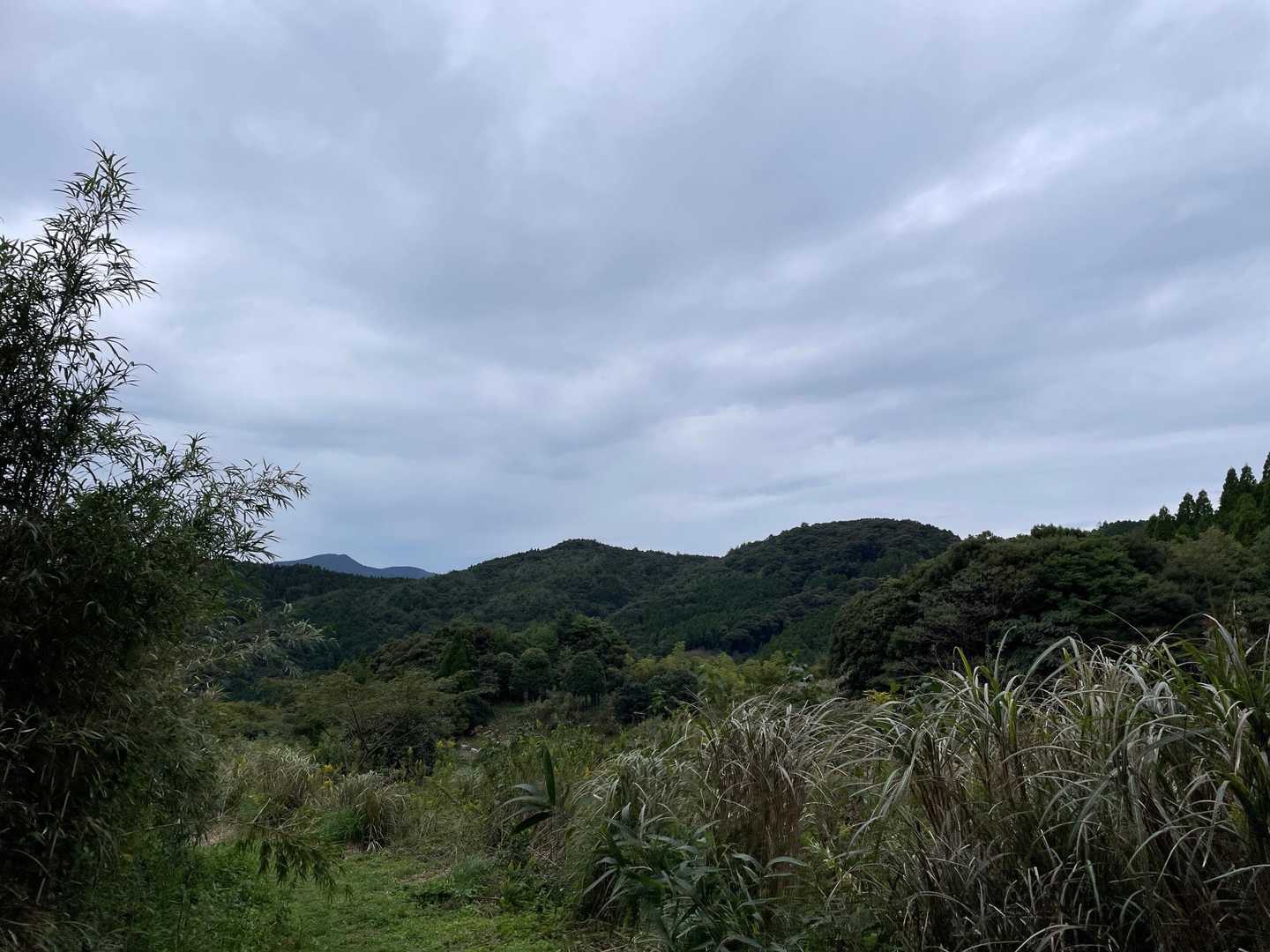 栗の木登山口-作礼山 往復コースの写真