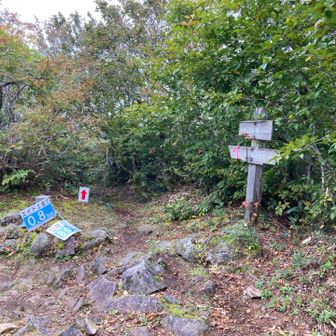 北泉ヶ岳までたどり着く💦
以後、写真なしです♪
エイドで応援いただいたスタッフの方々、ありがとうございました😊
