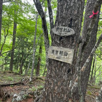 南甘利山に行ったことがなかったので1人でチャレンジ
母から借りた笛をピーピー吹きながらかけおりていきました
かなり下る💦