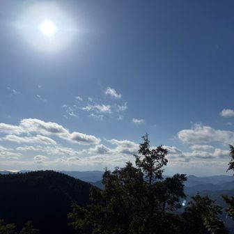 山頂からの眺め