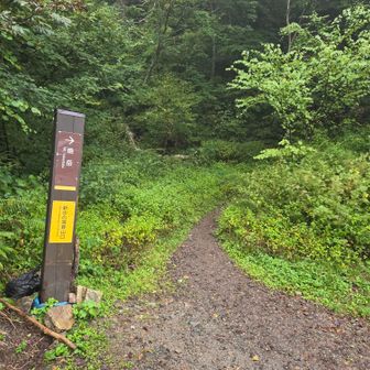 新中の湯登山口