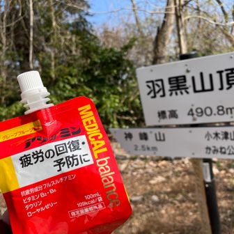 今回も羽黒山で小休止
先月ここから先で挫けたので(ᵒ̴̶̷᷄⌑ ᵒ̴̶̷᷅   )⁝
ドーピング注入！