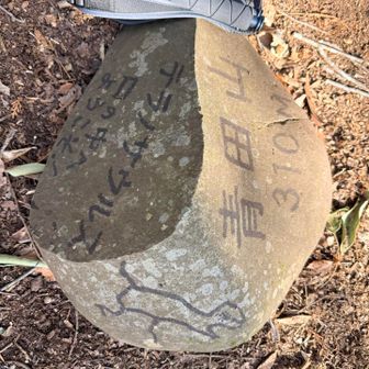 口の中へようこそ！