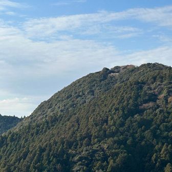 あそこが三岳山山頂か。南北朝時代から城があったと思うと凄いな。