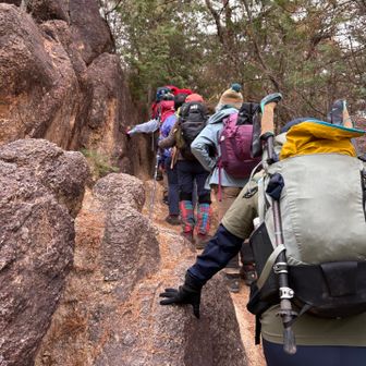 こんなとこ歩きます