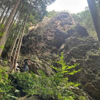 クライミング🧗されている人が居ました
自分は、筋力無いし怖くて無理です