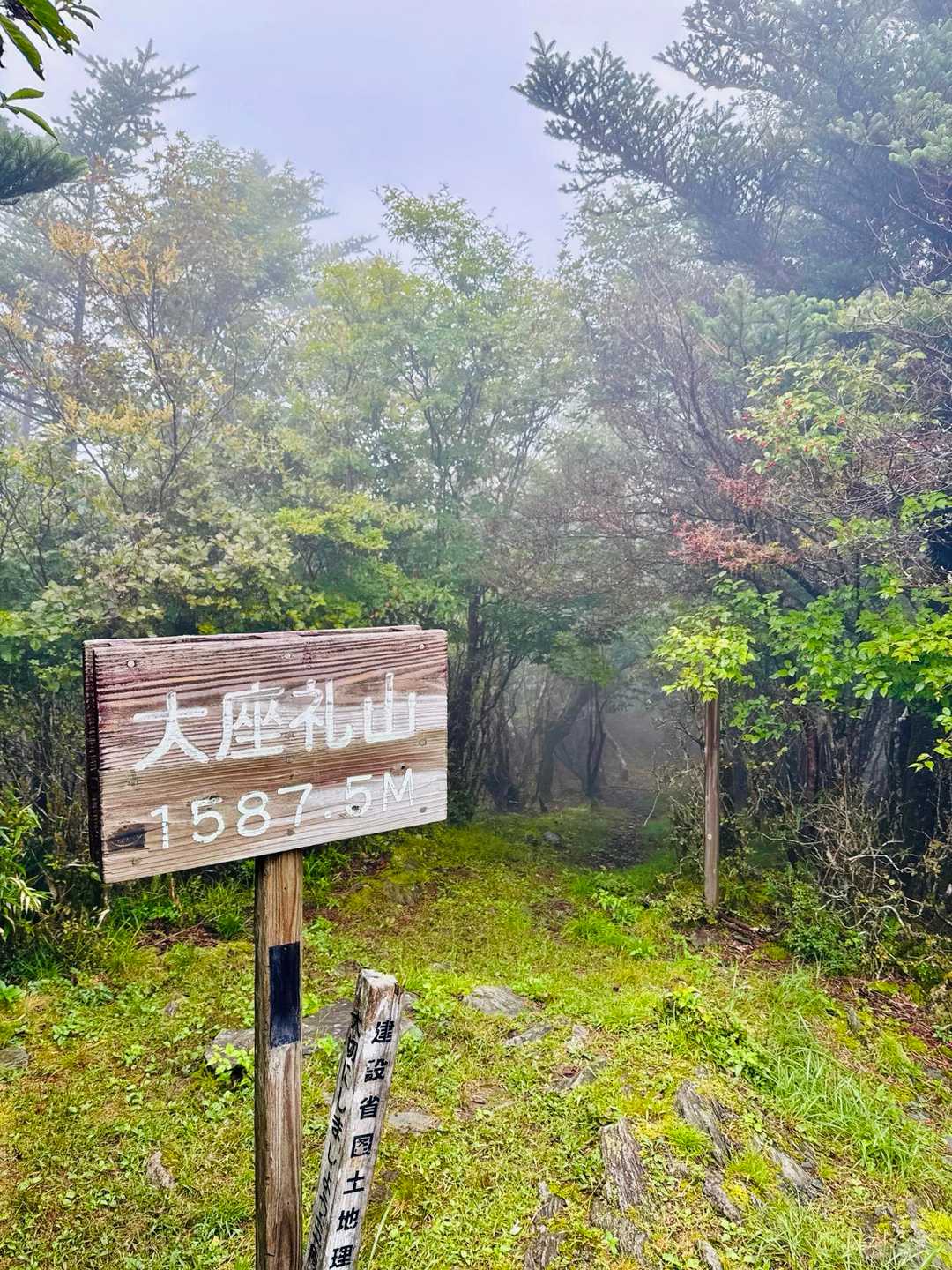 駐車場登山口-井野川越-大座礼山 往復コースの写真