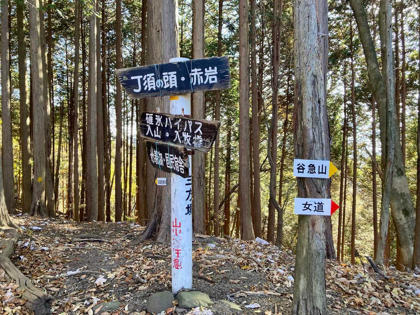 三方境という所に来ました♪「碓氷バイパス」って山の中で道路案内は初めて💁‍♀️