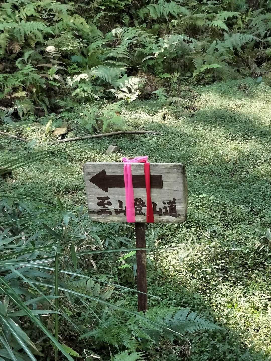 「山頂に至る」 と読んでしまった💦  イタリ山です。