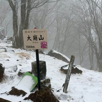大崩山とうちゃこ。
自身9回目の大崩山。
特に昨秋以降4回登っています。
全て違うアプローチで。