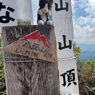 トムさんも連れてきた🐾