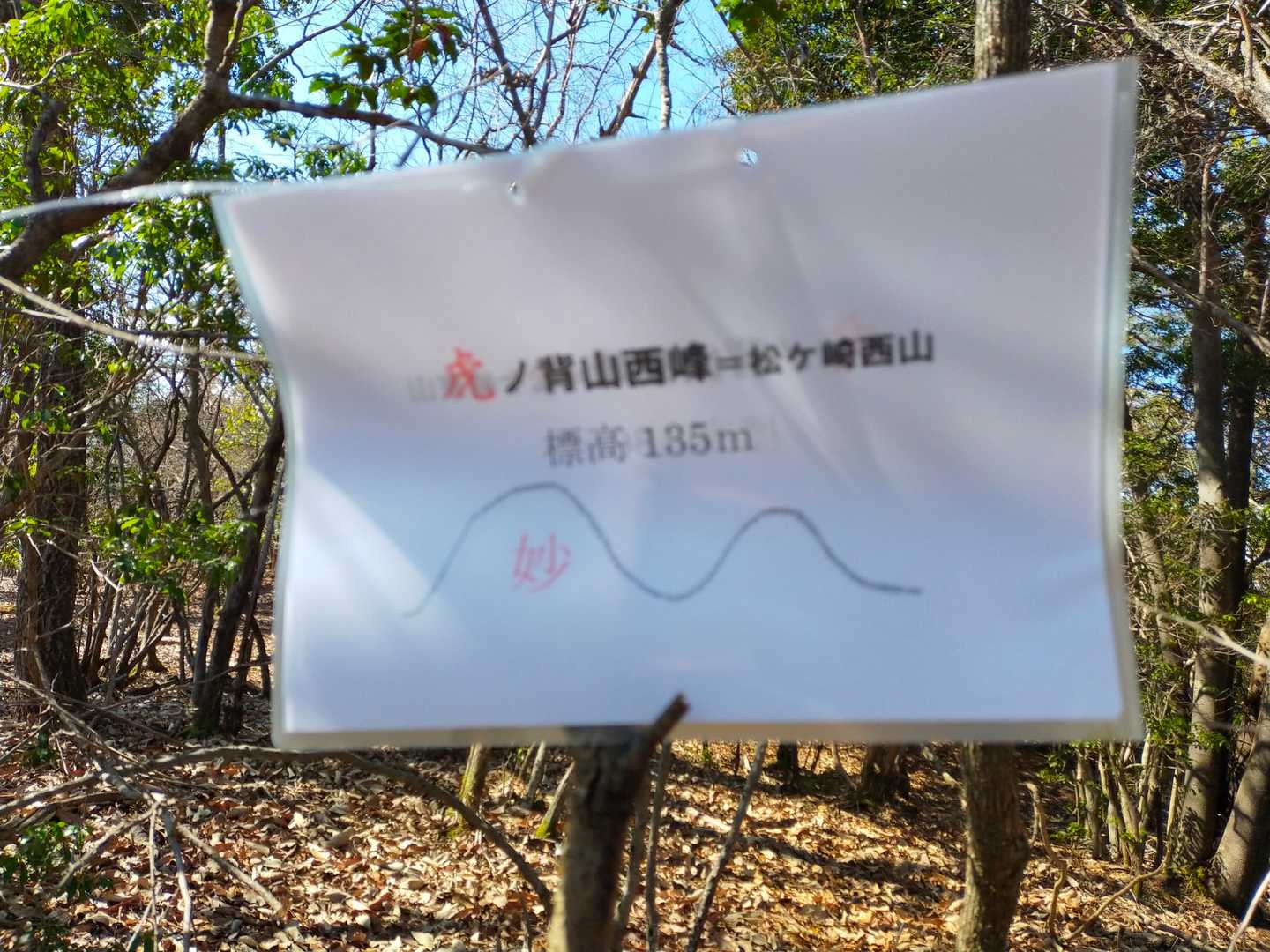 虎ノ背山西峰=松ヶ崎西山ピークに到着です。