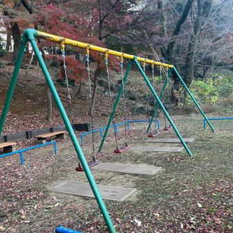 あったら乗りたいやつ〜♫
揺られてたら身体が冷えた🥶