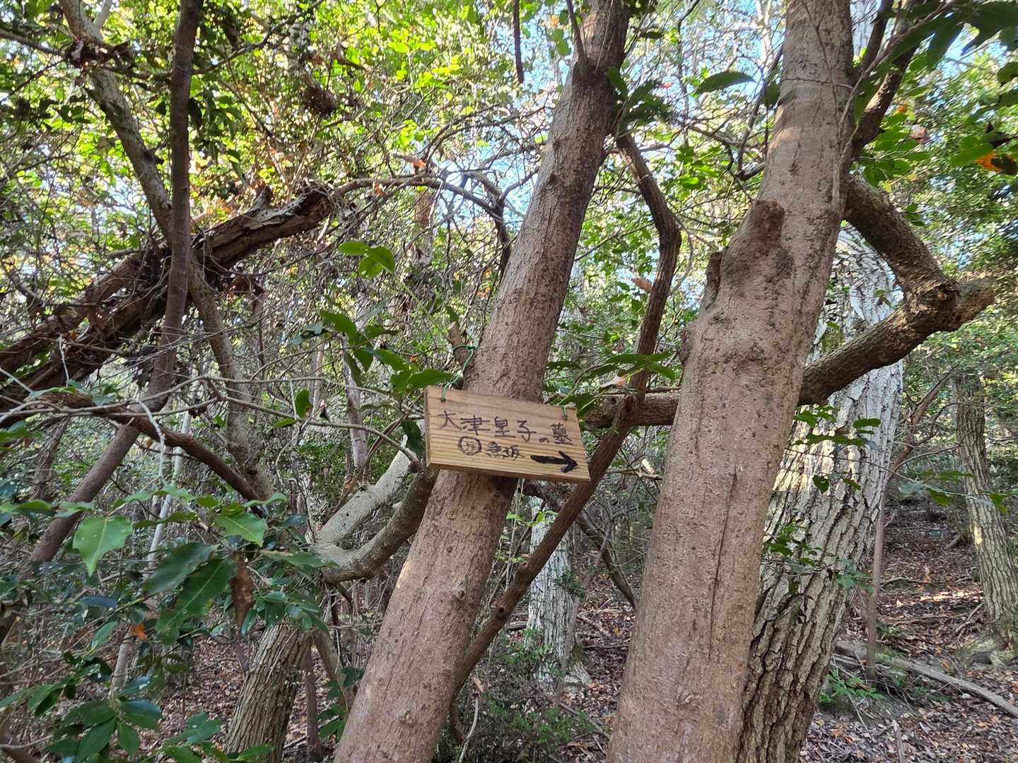 急坂から、雄岳へ