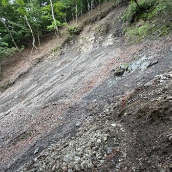 渡り終えて振り返る、崩落地のトラバース。