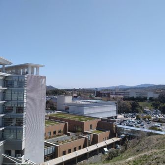 大山が見えていた