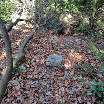 高台寺山の山頂に寄り道