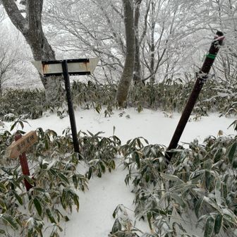 ようやく前々司かつ縦走路に到達