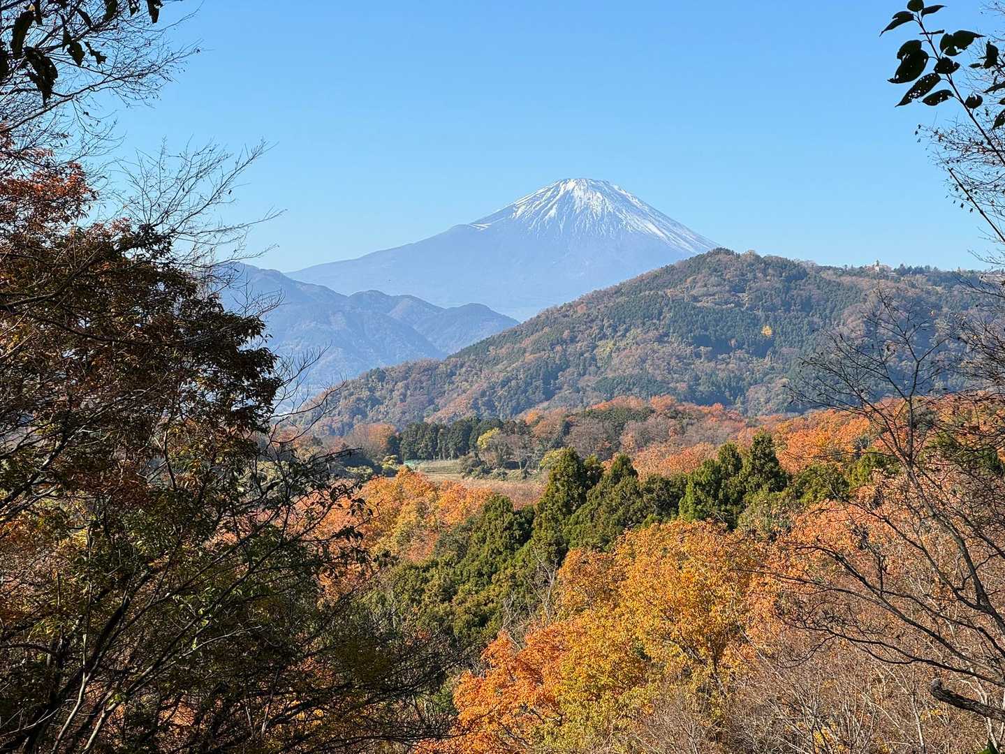 アップしてみます。