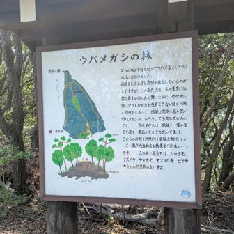 ぬ。