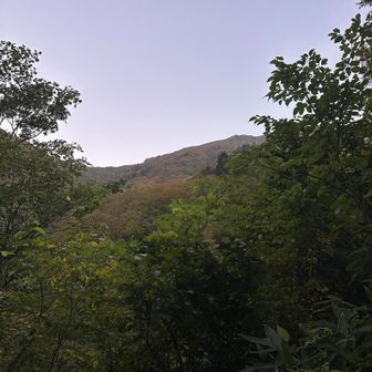山頂方面