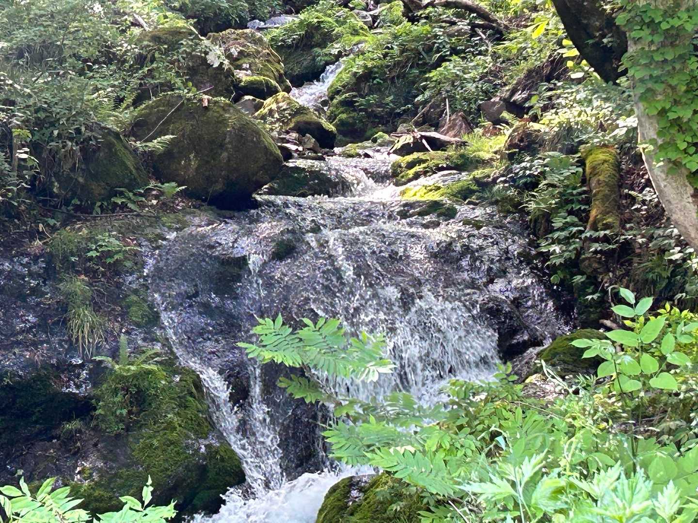 大博多山 往復コースの写真