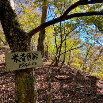 本日の一番低いポイント、米背負峠