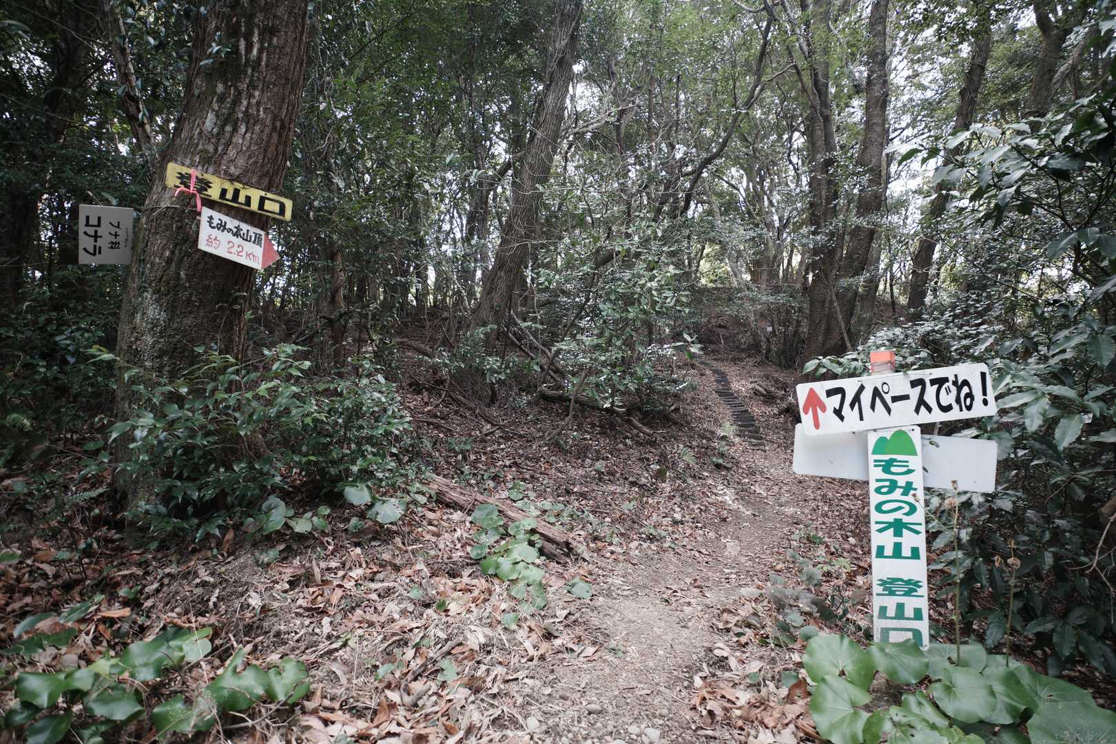 登山口。