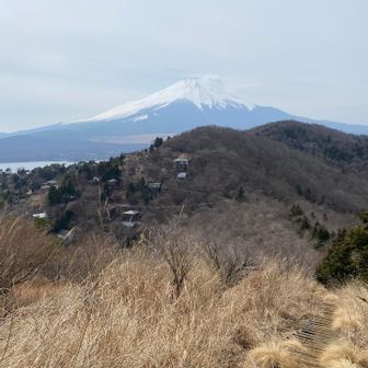 別荘がチラホラ